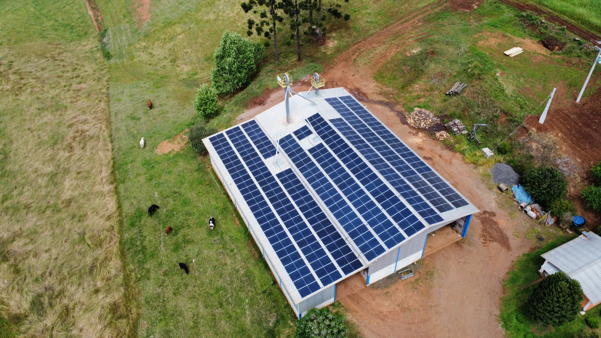 Sistema solar em galpão rural com gado